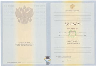 Диплом КГХИ 2010-2011 годов